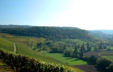 Eschenauer Paradies | Obersulm | Weinsberger Tal | HeilbronnerLand