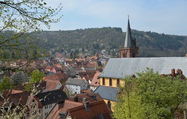 Ev. Stiftskirche | © TOURISMUS REGION WERTHEIM GmbH
