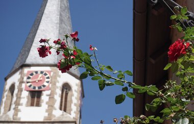 Jakobus Stadtkirche Brackenheim | © Neckar-Zaber-Tourismus eV.