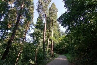 Exotenwald Weinheim
