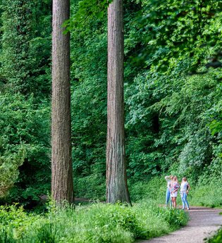 Drei Personen stehen auf einem Waldweg im Exotenwald Weinheim umgeben von hohen Bäumen und dichtem Grün.