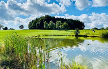 Idylle am Golfplatz Mudau / Odenwald