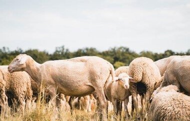 Gaststätte Württemberger