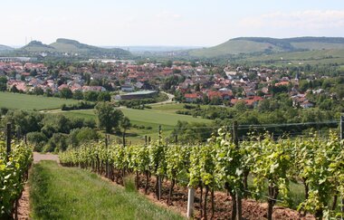 Gaststätte Württemberger | © Von Rosenzweig - Selbst fotografiert, CC BY-SA 3.0, https://commons.wikimedia.org/w/index.php?curid=2129867