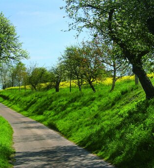 Landschaftsschutzgebiet Hergstbachtal | Möckmühl | HeilbronnerLand