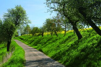 Landschaftsschutzgebiet Hergstbachtal | Möckmühl | HeilbronnerLand