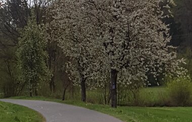 Hergstbachtal mit Dippacher Schutzhütte