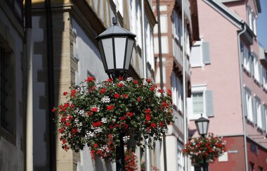 Geranien an einer Laterne am Rathaus mit Fachwerk im Hintergrund | © Markus Berroth | Stadtverwaltung Möckmühl