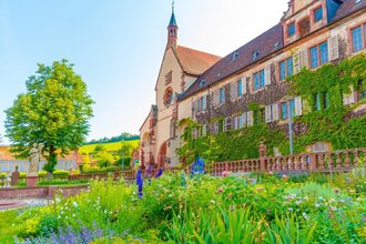 Blick aus dem blühenden Klostergarten auf das Kloster Bronnbach. Die Fassade ist begrünt. Im Hintergrund sind Steinfiguren und ein großer Baum zu sehen. | © Liebliches Taubertal