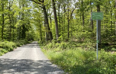 Hügel-Pass "Bannhalde"