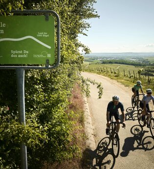 Radfahrende fahren am Hörnle bei 320 m Höhe durch Weinberge im Land der 1000 Hügel.