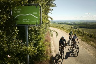 Radfahrende fahren am Hörnle bei 320 m Höhe durch Weinberge im Land der 1000 Hügel.