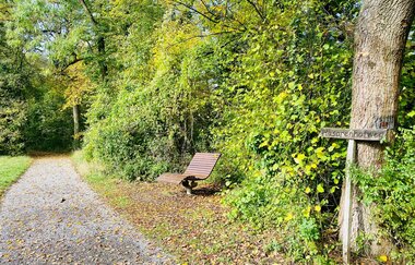 Hügelsofa bei Besigheim
