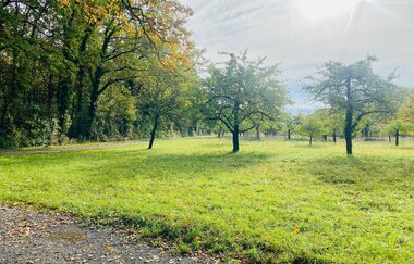 Hügelsofa Ausblick bei Besigheim