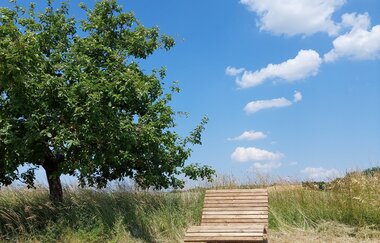 Hügelsofa bei Kraichtal-Menzingen