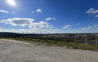 Ausblick Hügelsofa Sulzfeld
