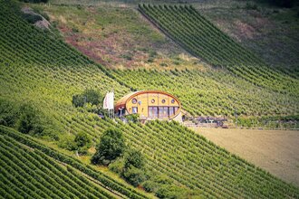 Das Ingelfinger Fass liegt malerisch in den Weinbergen im Kochertal. | © Touristikgemeinschaft Hohenlohe e. V. |  Andi Schmid