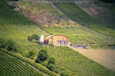 Das Ingelfinger Fass liegt malerisch in den Weinbergen im Kochertal. | © Touristikgemeinschaft Hohenlohe e. V. |  Andi Schmid