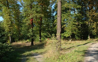 Köpfertal Heilbronn | HeilbronnerLand | © Touristikgemeinschaft HeilbronnerLand
