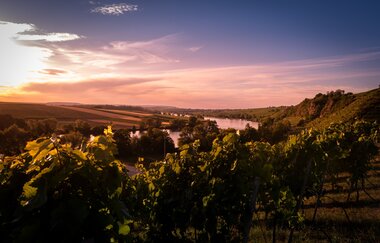Katzenbeißer-Steillagen mit Krappenfelsen | Lauffen am Neckar | HeilbronnerLand
