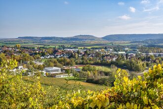 Ausblick Wanderweg | Güglingen | HeilbronnerLand | © Stadt Güglingen