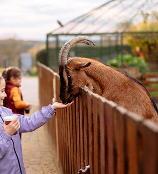 Letzenberg Tierpark | © Landratsamt-Rhein-Neckar-Kreis | Sebastian Weindel