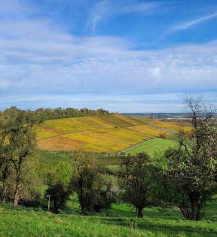 Ausblick vom Lindelberg in Pfedelbach