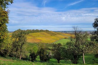 Ausblick vom Lindelberg in Pfedelbach