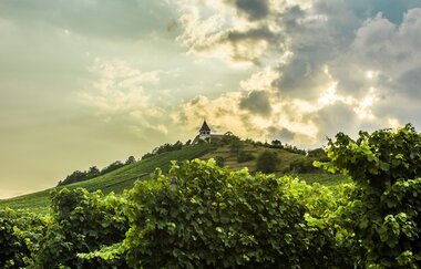 St. Michael Express | Planwagen- & Weinbergrundfahrten am Michaelsberg Cleebronn | HeilbronnerLand