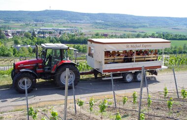 St. Michael Express | Planwagen- und Weinbergrundfahrten | Cleebronn