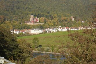 Blick auf die Vierburgenstadt Neckarsteinach | © Touristikgemeinschaft Odenwald e.V.