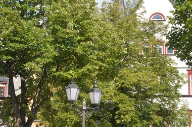 © Tourismusverband "Liebliches Taubertal"