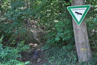 Naturdenkmal „Steinerne Rinne“ an der Meckesheimer Straße | © Unbekannt