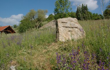 Naturschutzgebiet Essigberg / Hörnle | © Touristikgemeinschaft HeilbronnerLand e. V.