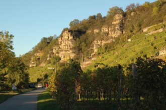 Terrassenweinberge bei Lauffen am Neckar | HeilbronnerLand | © Touristikgemeinschaft HeilbronnerLand e.V.