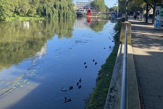 Heilbronner Neckarmeile
