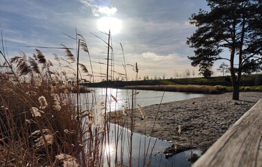 Neckaruferpark mit Karlssee | Heilbronn | HeilbronnerLand | © Touristikgemeinschaft HeilbronnerLand