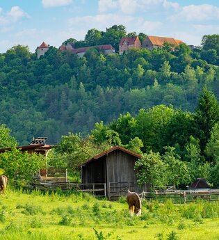 Ort des Glücks - AUSSICHTSPUNKT ALTENBERG | © Liebliches Taubertal