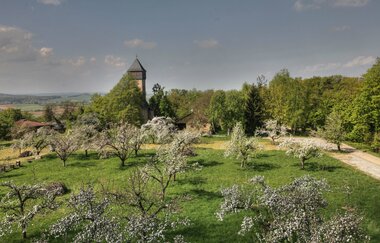 Ottilienberg Eppingen, Frühling, Stadt Eppingen | © Große Kreisstadt Eppingen