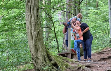 Dachsi NaturErlebnisPfad | Finsterroter See - Wüstenrot | HeilbronnerLand | © Touristikgemeinschaft HeilbronnerLand