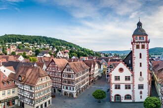 Panoramablick auf das Mosbacher Rathaus