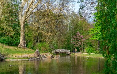 Der Ententeich im Schlosspark. Im Hintergrund ist eine kleine weiße Fußgängerbrücke, Enten schwimmen auf dem Teich.