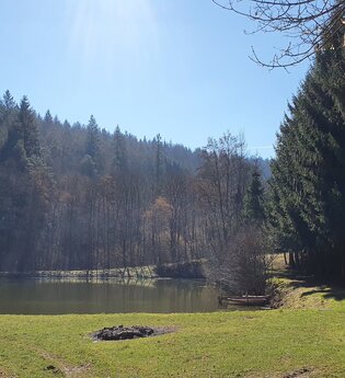 Schönertsee | © TOURISMUS REGION WERTHEIM GmbH