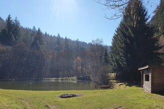 Schönertsee | © TOURISMUS REGION WERTHEIM GmbH