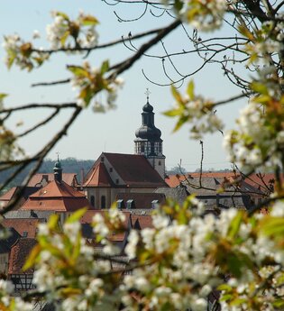 St. Martin Kirche Kraichtal-Gochsheim | © Stadtmarketing Kraichtal