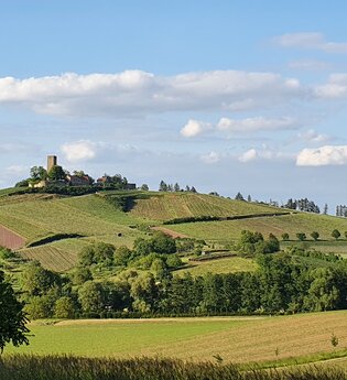 Station Weitsicht im Streuobsterlebnispfad