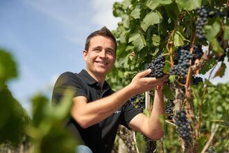 Tobias Schifferer | © Weingut Tobias Schifferer