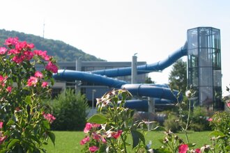 Toll KÜN