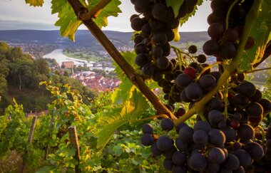 Tourismusregion Churfranken | © Tourismusregion Churfranken