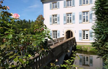 Trappensee mit Trappenseeschlösschen | HeilbronnerLand